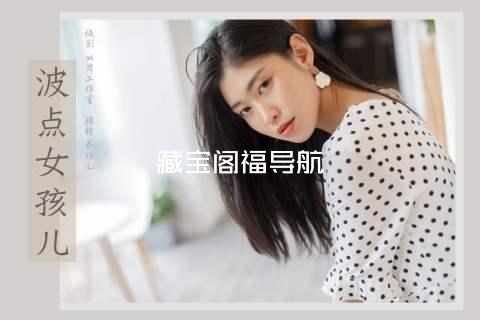 藏宝阁福导航